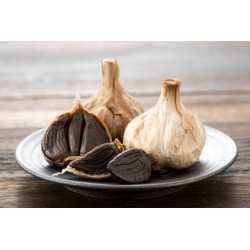 Organic black garlic PDO from Cadours in France - Direct Producer