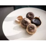 Ail noir naturel fait avec un ail Label rouge IGP de Lautrec - Dire...