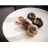 Organic black garlic PGI from Lomagne in France - Direct Producer