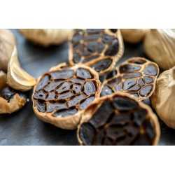 Organic black garlic PGI from Lomagne in France - Direct Producer