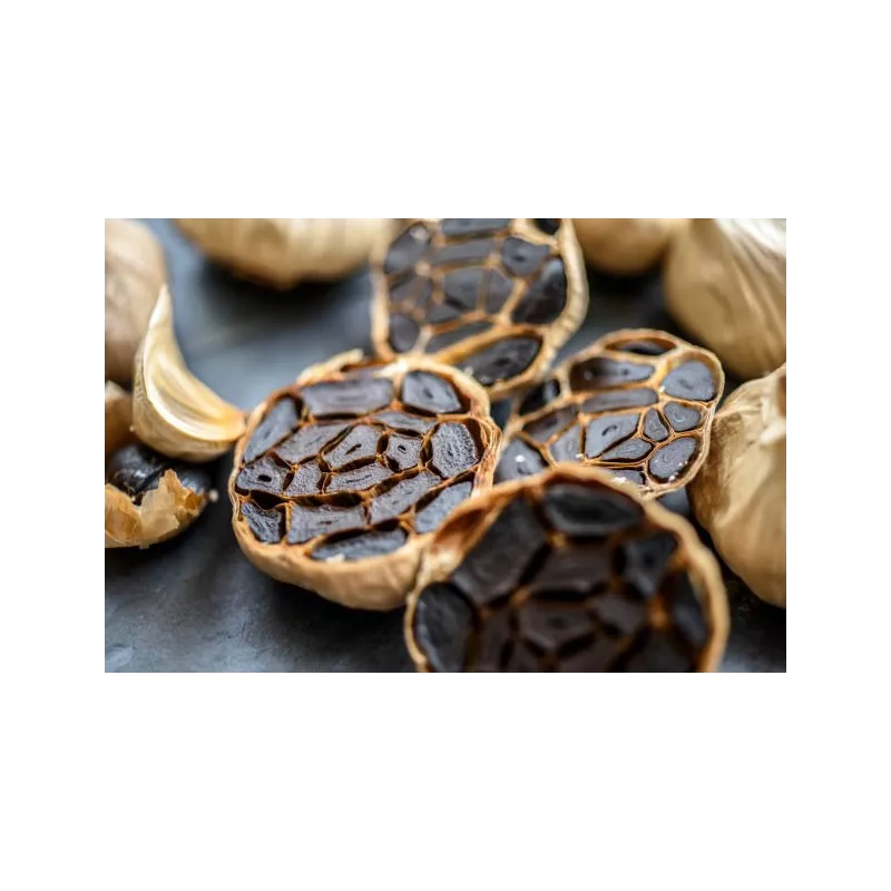 Organic black garlic PGI from Lomagne in France - Direct Producer Organic black garlic PGI from Lomagne in France - Direct Producer