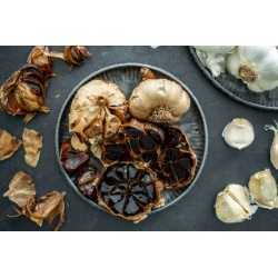 Organic black garlic PDO from Voghiera in Italy - Direct producer