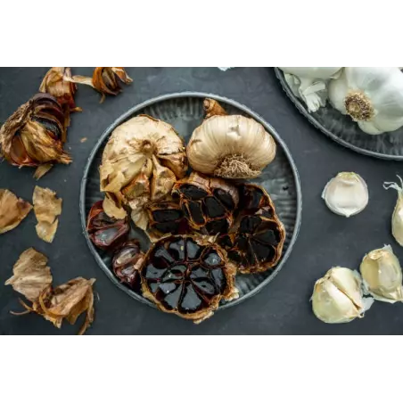 Organic black garlic PDO from Voghiera in Italy - Direct producer