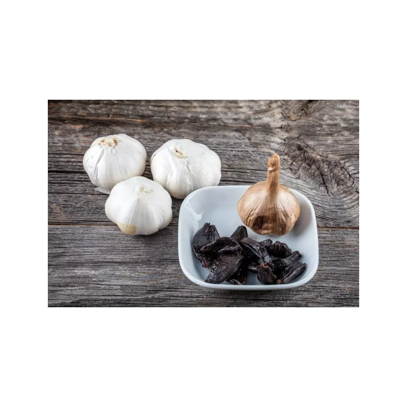 Organic black garlic PDO from Voghiera in Italy - Direct producer