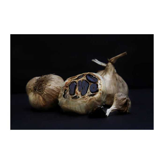 Organic black garlic PDO from Polesano in Italy - Direct producer