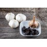 Organic black garlic PDO from Polesano in Italy - Direct producer