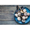 Organic black garlic PDO from Polesano in Italy - Direct producer