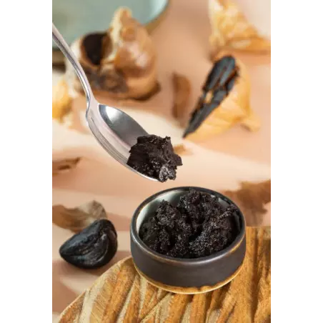 Pâte d'ail noir Bio IGP de Lomagne en France - Direct Producteur