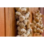 Smoked Garlic PGI from Arleux - Direct Producer