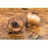 Smoked Garlic PGI from Arleux - Direct Producer