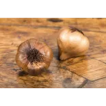 Smoked Garlic PGI from Arleux - Direct Producer
