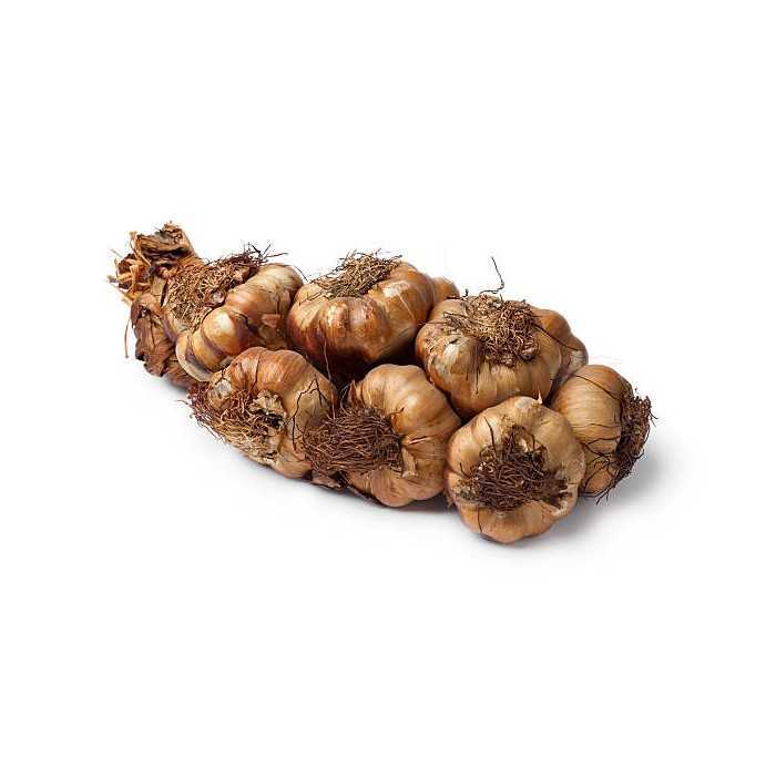 Smoked Garlic PGI from Arleux - Direct Producer