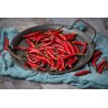 Organic & Fairtrade dried Bird's Tongue Or Pili-Pili From Kampot - ...