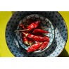 Organic & Fairtrade dried Bird's Tongue Or Pili-Pili From Kampot - ...