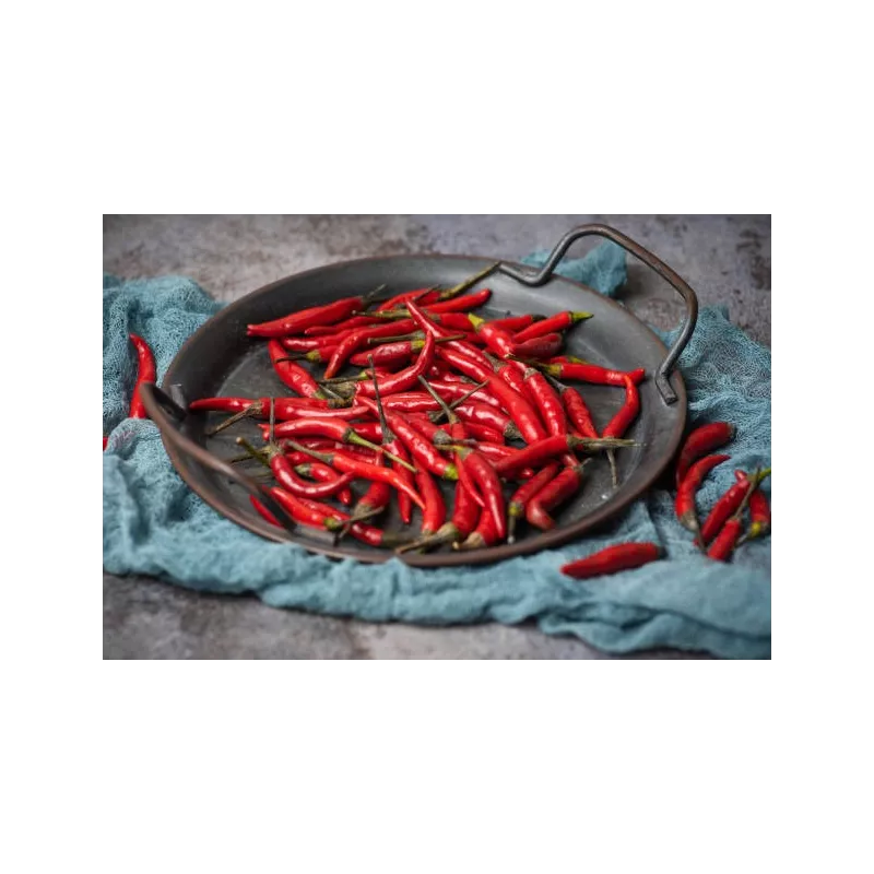 Piment langue d'oiseau ou pili-pili entier fumé Bio & fairtrade de ... Piment langue d'oiseau ou pili-pili entier fumé Bio & fairtrade de ...