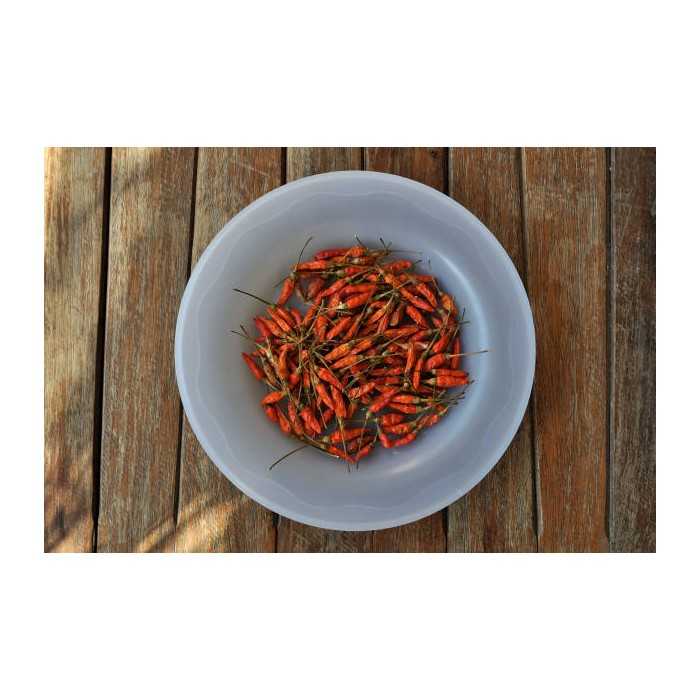 Organic & fairtrade smoked bird's tongue or pili-pili from Kampot -...