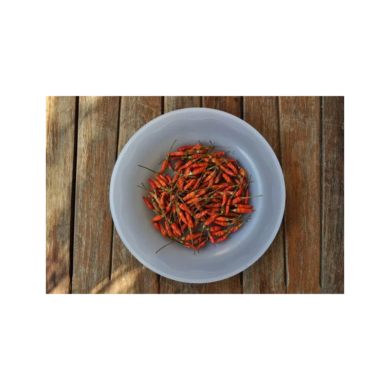 Piment langue d'oiseau ou pili-pili entier fumé Bio & fairtrade de ...