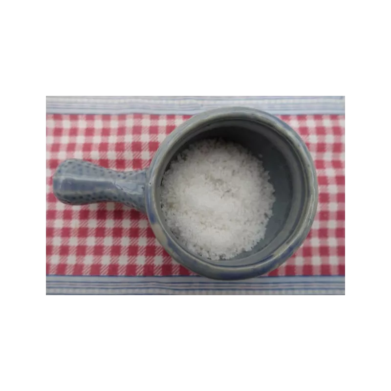 Flower of salt PGI from Guérande In France - Direct producer