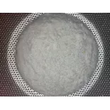 Givre de Sel du désert blanc d'Egypte