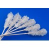 White candy sugar sticks from Persia X 5