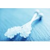 White candy sugar sticks from Persia X 5
