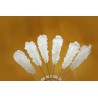 White candy sugar sticks from Persia X 5