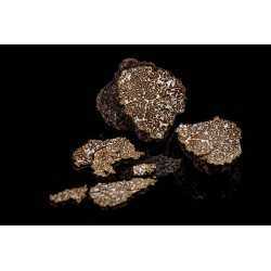 Slices of dried black winter truffle or brumale from Provence
