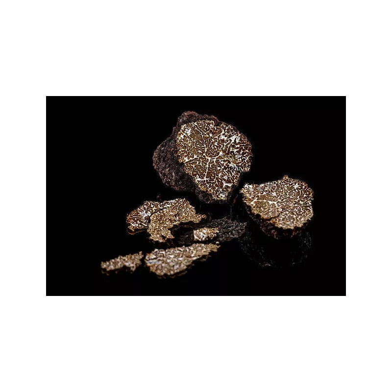 Lamelles de truffe noire d'hiver ou brumale séchée de Provence Lamelles de truffe noire d'hiver ou brumale séchée de Provence