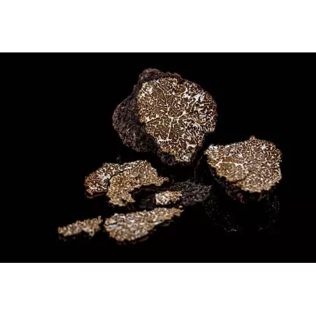 Slices of dried black winter truffle or brumale from Provence