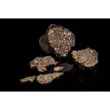 Lamelles de truffe noire d'hiver ou brumale séchée de Provence