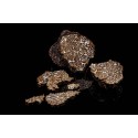 Lamelles de truffe noire du Périgord séchée - direct producteur