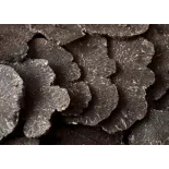 Lamelles de truffe noire du Périgord séchée - direct producteur