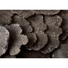 Slices of dried black truffle from Périgord - direct producer