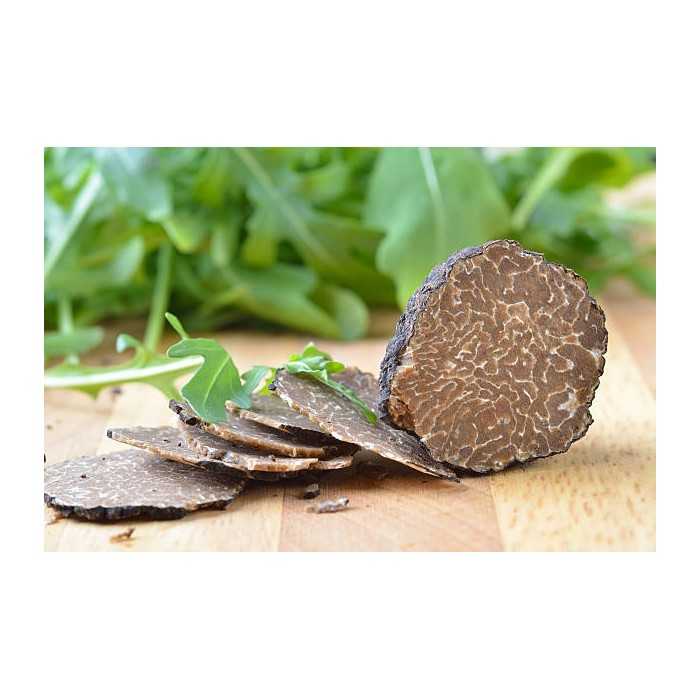 Slices of dried black truffle from Périgord - direct producer