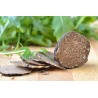 Slices of dried black truffle from Périgord - direct producer