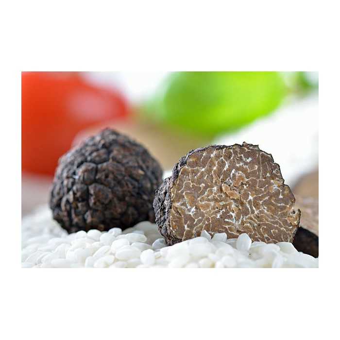 Slices of dried black truffle from Périgord - direct producer