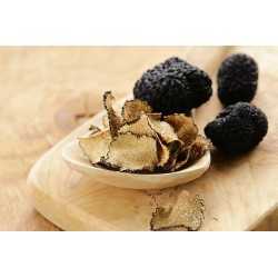 Slices of organic dried summer truffle from Italy - direct producer