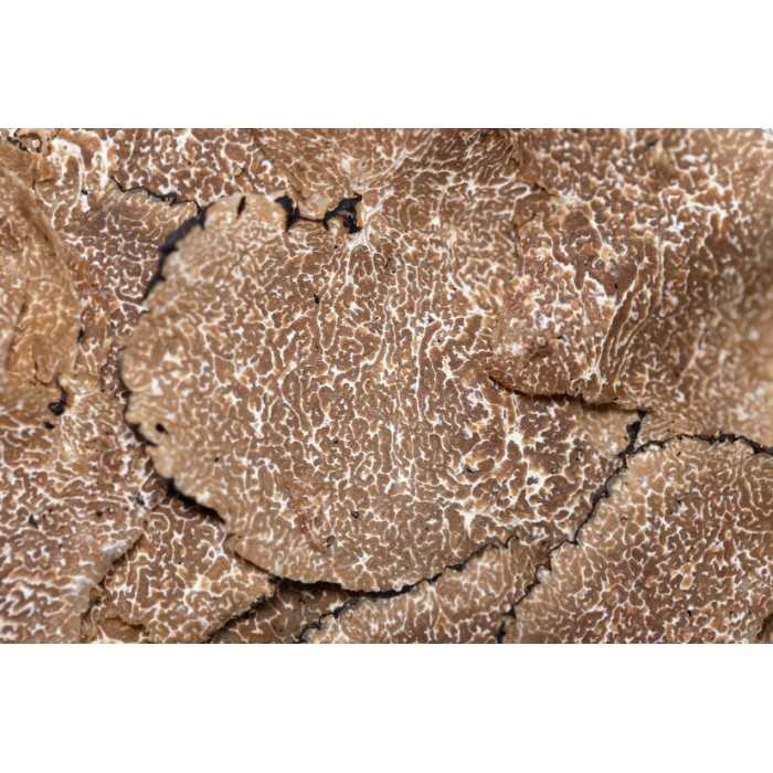Slices of organic dried summer truffle from Italy - direct producer