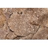 Slices of organic dried summer truffle from Italy - direct producer