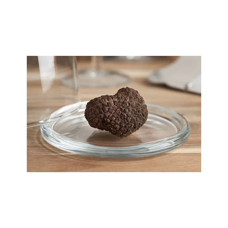 Précieuse Truffe noire bio entière en saumure d'Italie - direct pro...