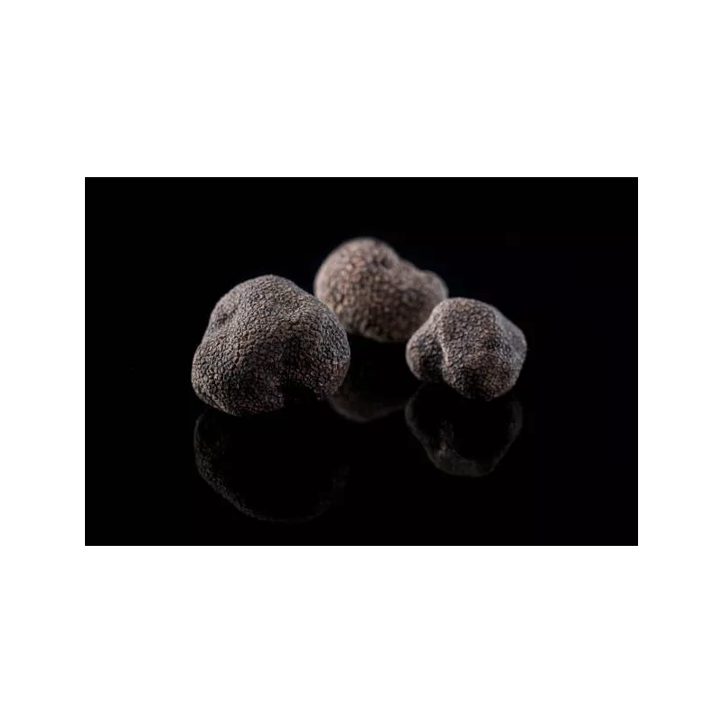 Précieuse Truffe noire bio entière en saumure d'Italie - direct pro...