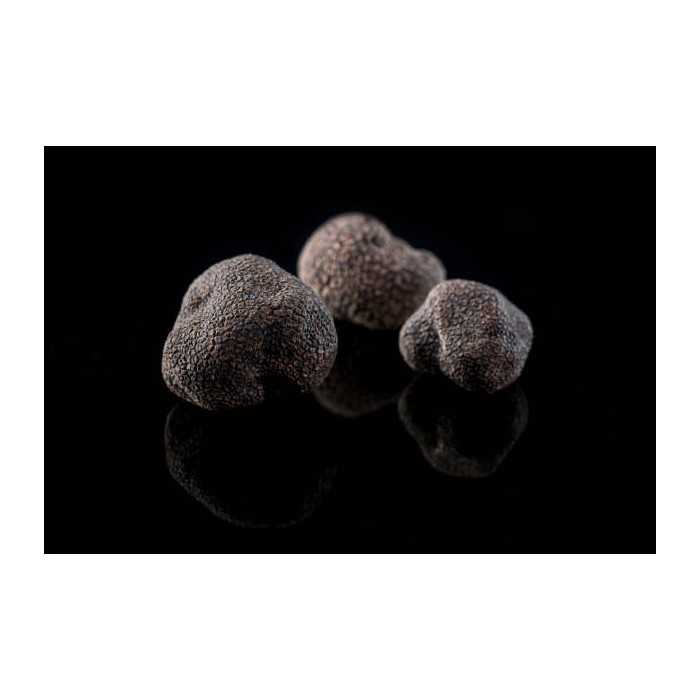 Precious whole organic black truffle in brine from Italy - direct p...