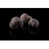Precious whole organic black truffle in brine from Italy - direct p...