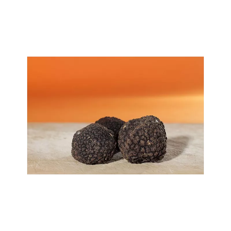 Précieuse Truffe noire bio entière en saumure d'Italie - direct pro...