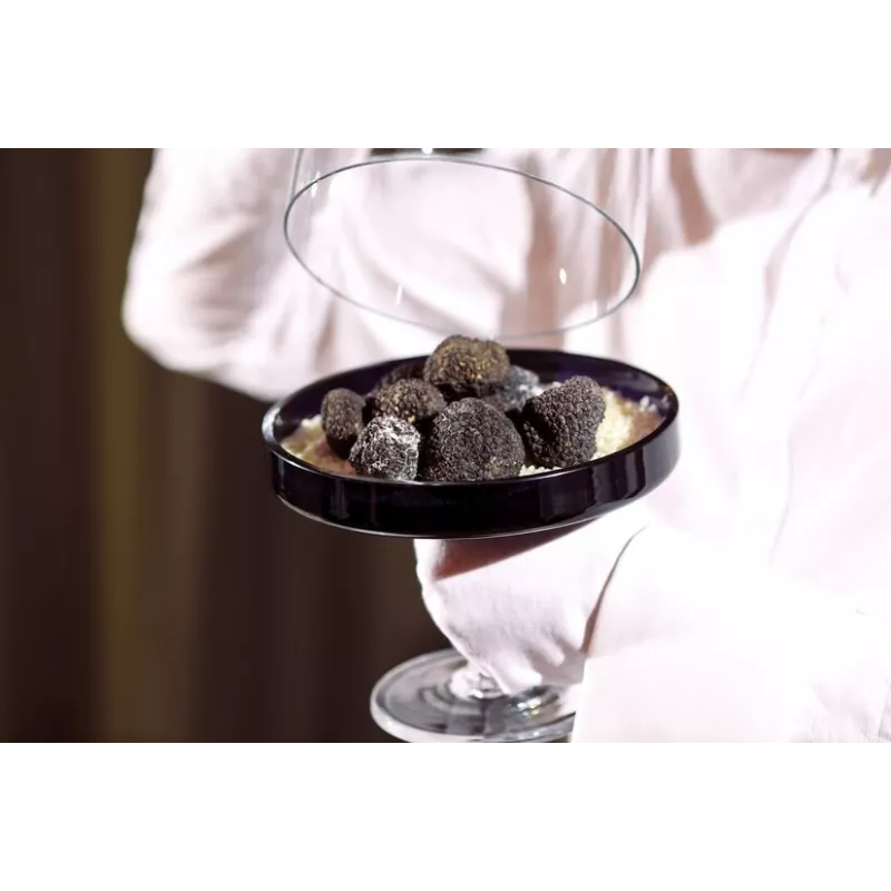 Précieuse Truffe noire bio entière en saumure d'Italie - direct pro... Précieuse Truffe noire bio entière en saumure d'Italie - direct pro...