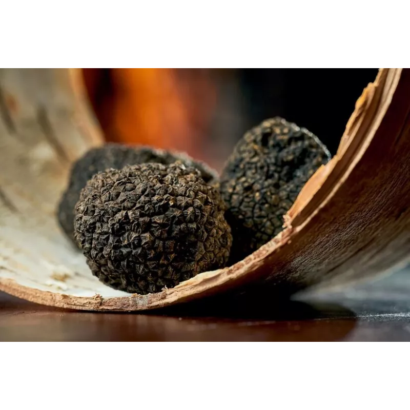 Précieuse Truffe noire bio entière en saumure d'Italie - direct pro...