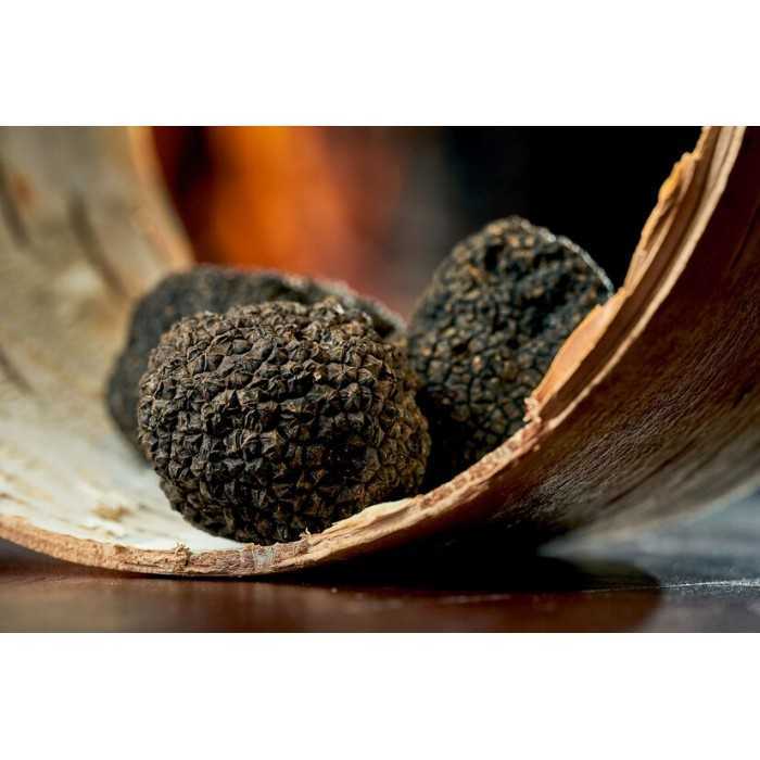 Precious whole organic black truffle in brine from Italy - direct p...