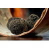 Precious whole organic black truffle in brine from Italy - direct p...