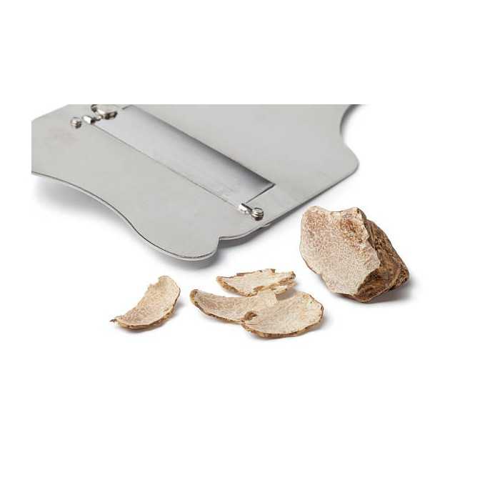Slices of dried white truffle Alba from Italy - direct producer