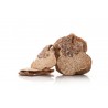 Slices of dried white truffle Alba from Italy - direct producer